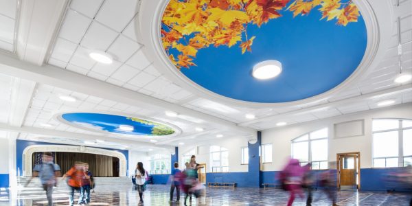 sector_educacion